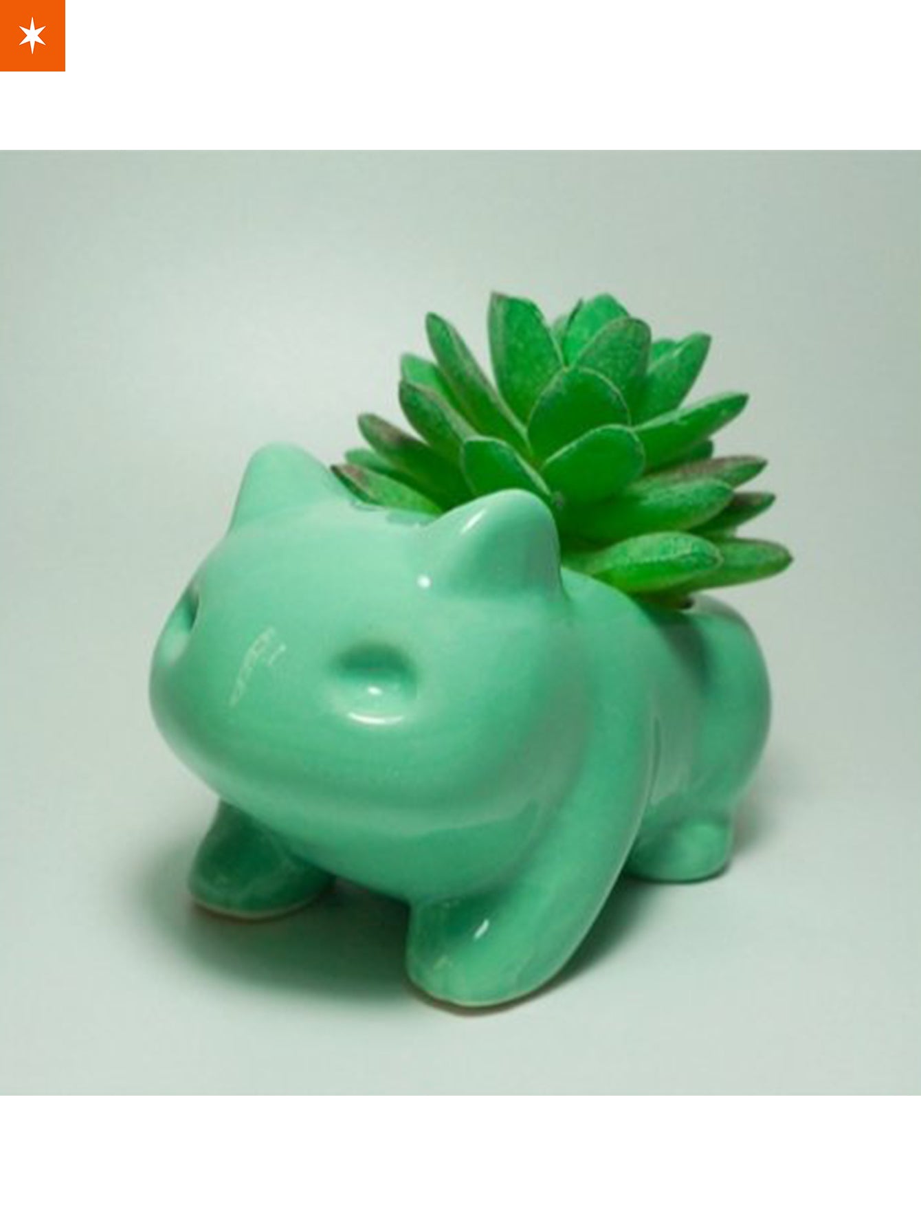 bulbasaur succulent pot Bulbasaur & Oddish Flower Pot – Fandomaniax
